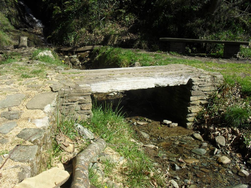 Pension La Posada Tineo Bagian luar foto